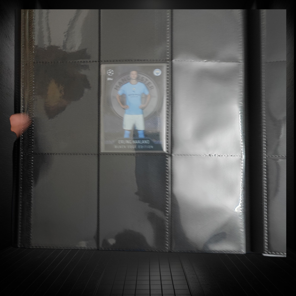 Aexel Premium Binder with Strap PP 360 Cards Capacity