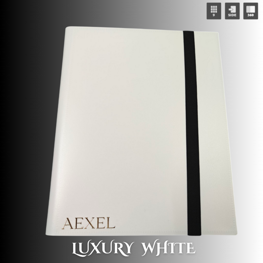 Aexel Premium Binder with Strap PP 360 Cards Capacity